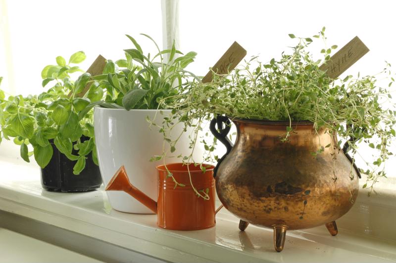 Herbs add to the look of your home, as well as the taste of your dishes.