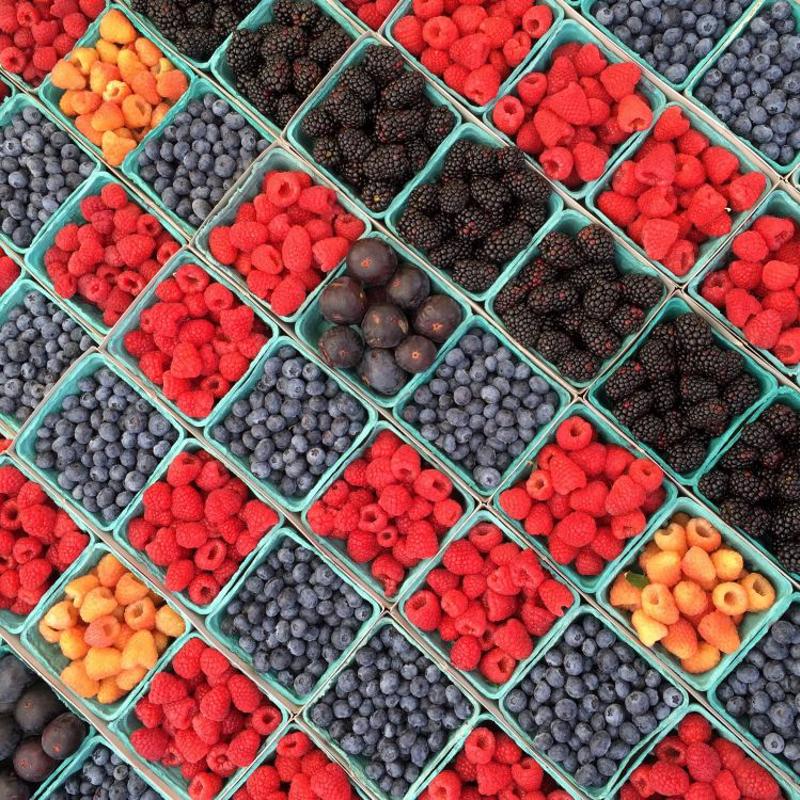 Rows of fruit containers.