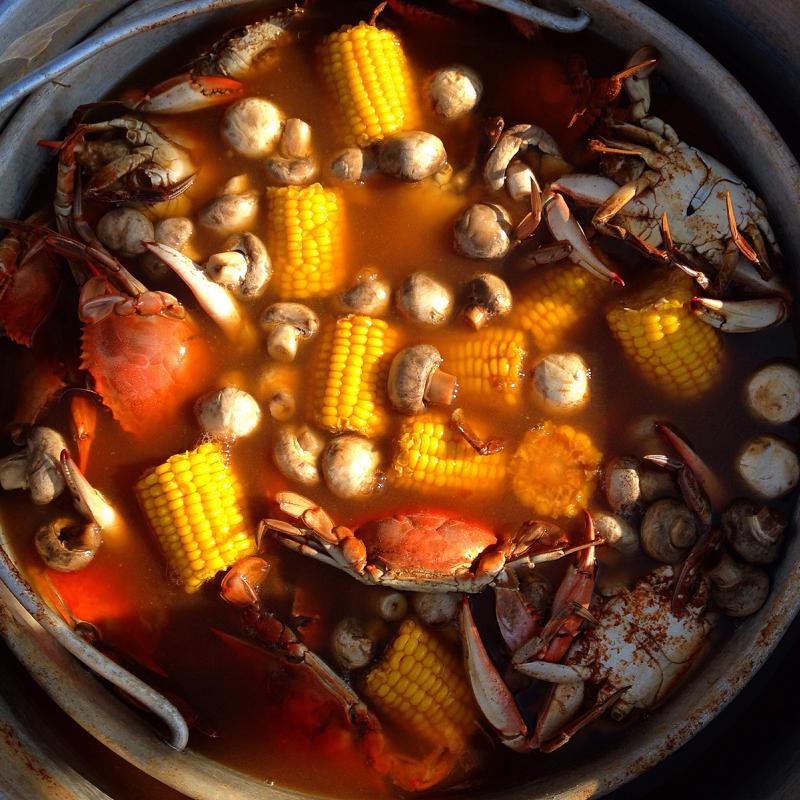 A lobster boil in progress.