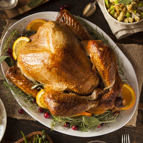 National lampoons thanksgiving family reunion movie reviews